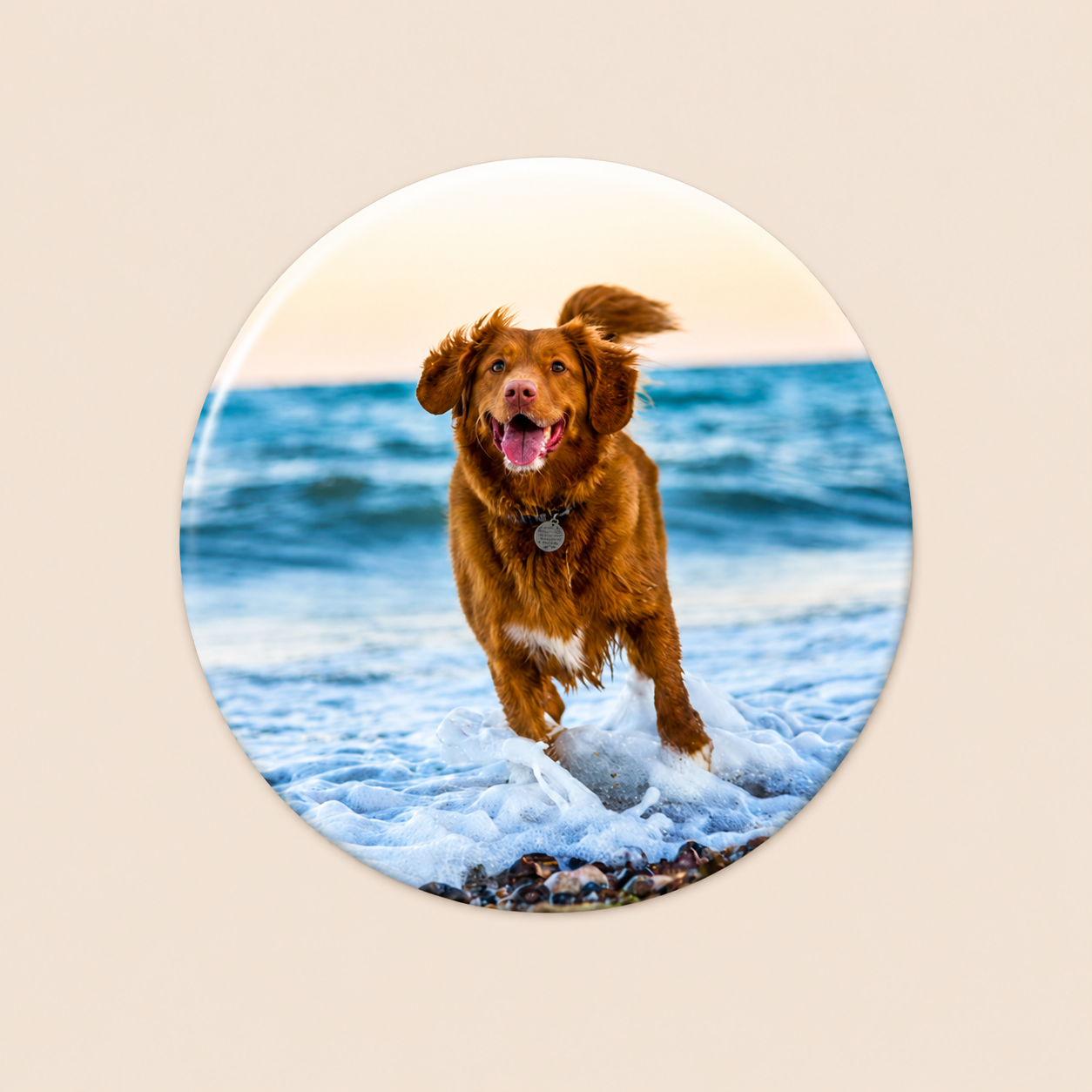 Personalised 3 inch 75mm circle photo magnet featuring a dog at the beach